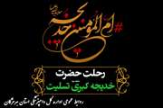 رحلت ام المؤمنین حضرت خدیجه کبری (سلام الله علیها) تسلیت باد